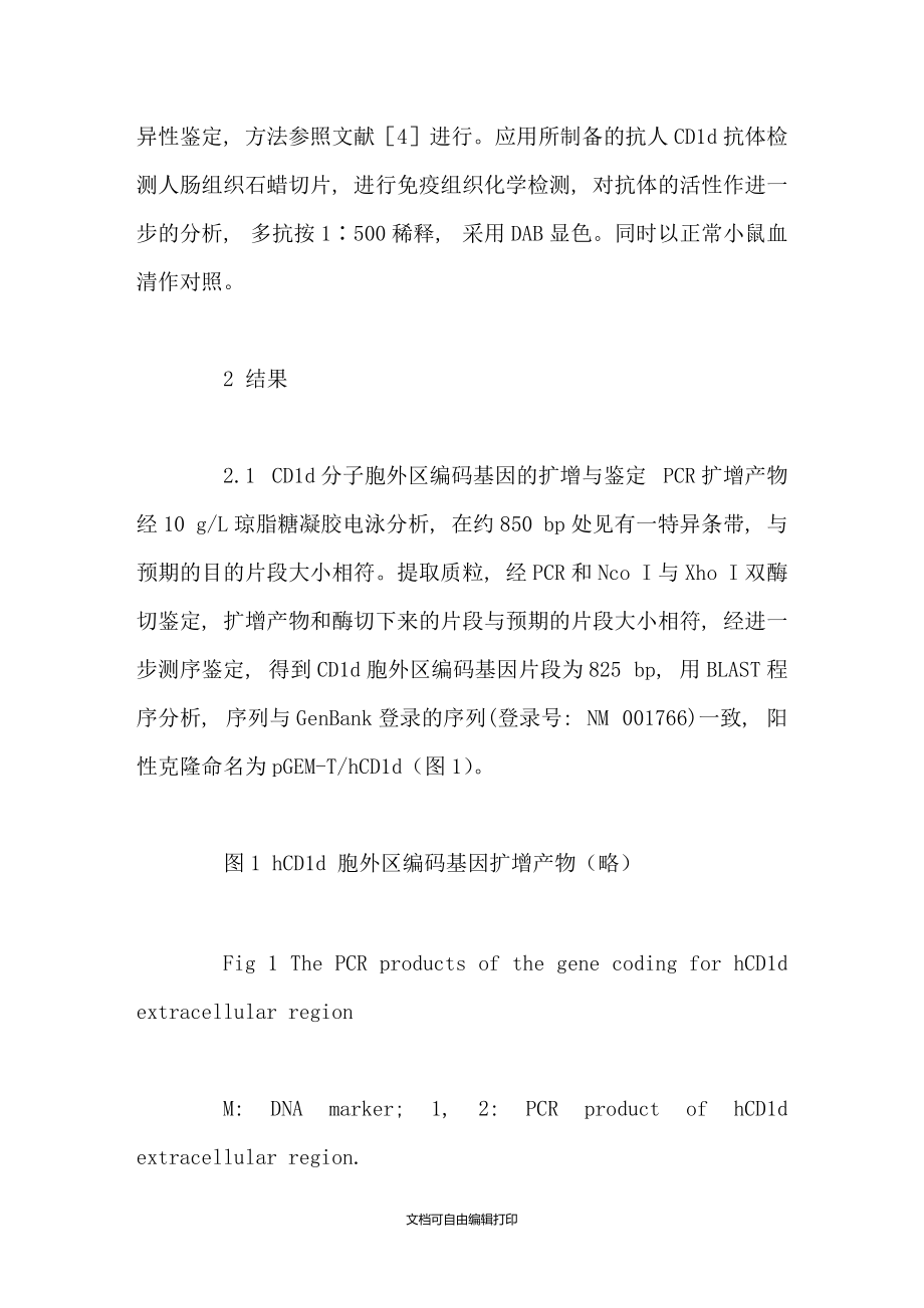 人CD1d分子胞外区的原核表达及其多克隆抗体的制备_第5页