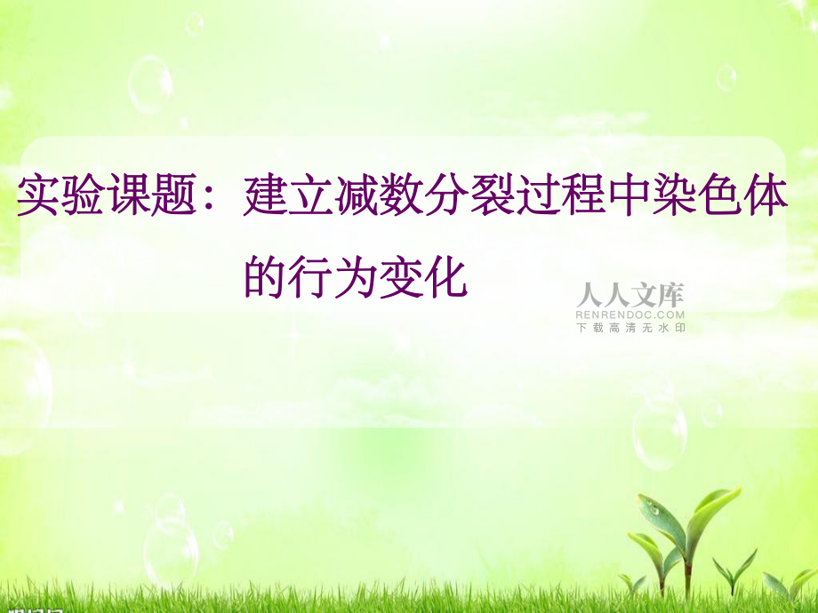生物实验创新:建立减数分裂过程中染色体变化的模型_第2页