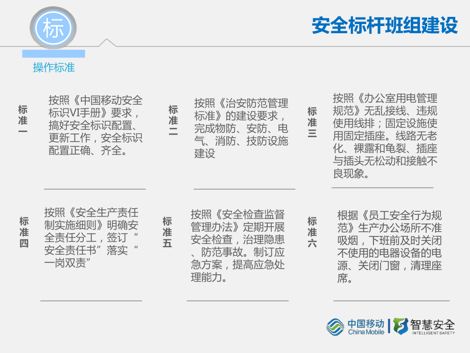 安全標桿班組建設_第5頁