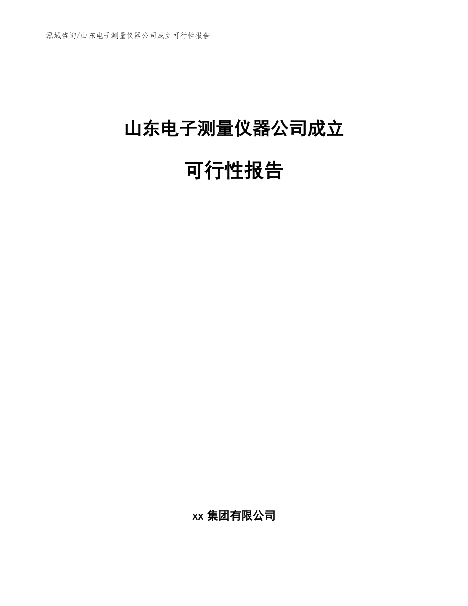 山東電子測量儀器公司成立可行性報告（范文）_第1頁