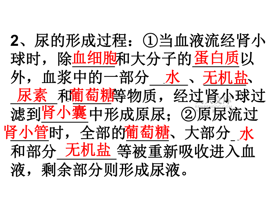第五章复习课_第2页