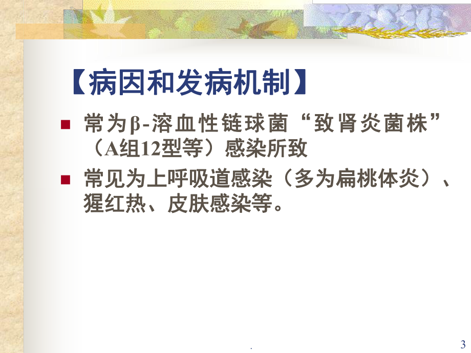 急性腎小球腎炎(課堂PPT)_第3頁