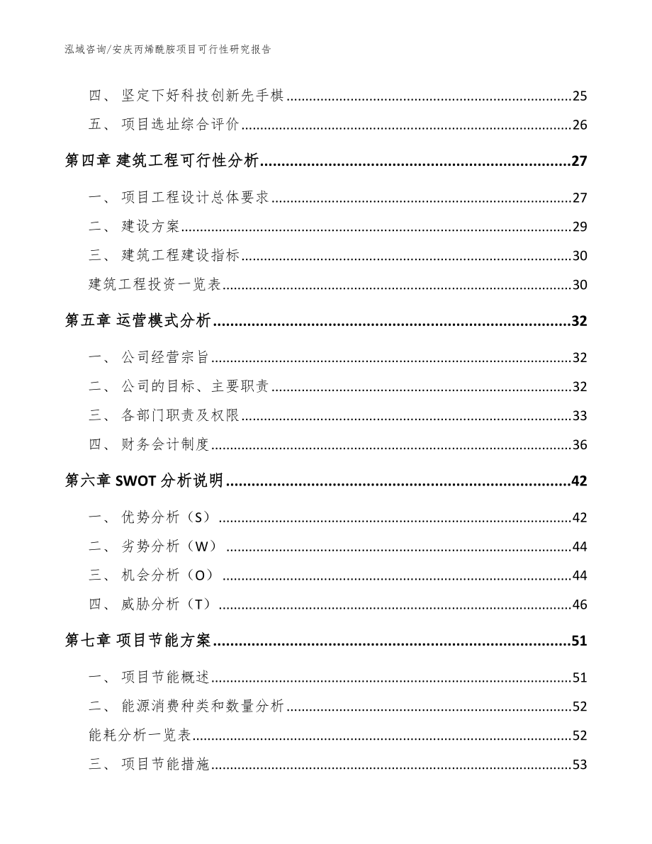 安庆丙烯酰胺项目可行性研究报告(范文)_第3页
