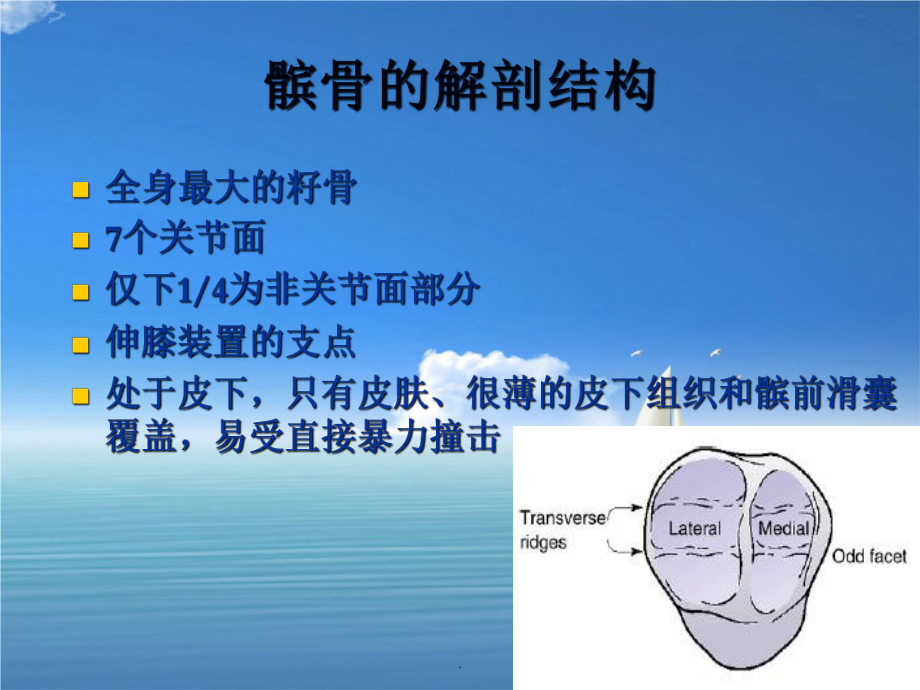 髌骨骨折的应用解剖及手术治疗_第2页