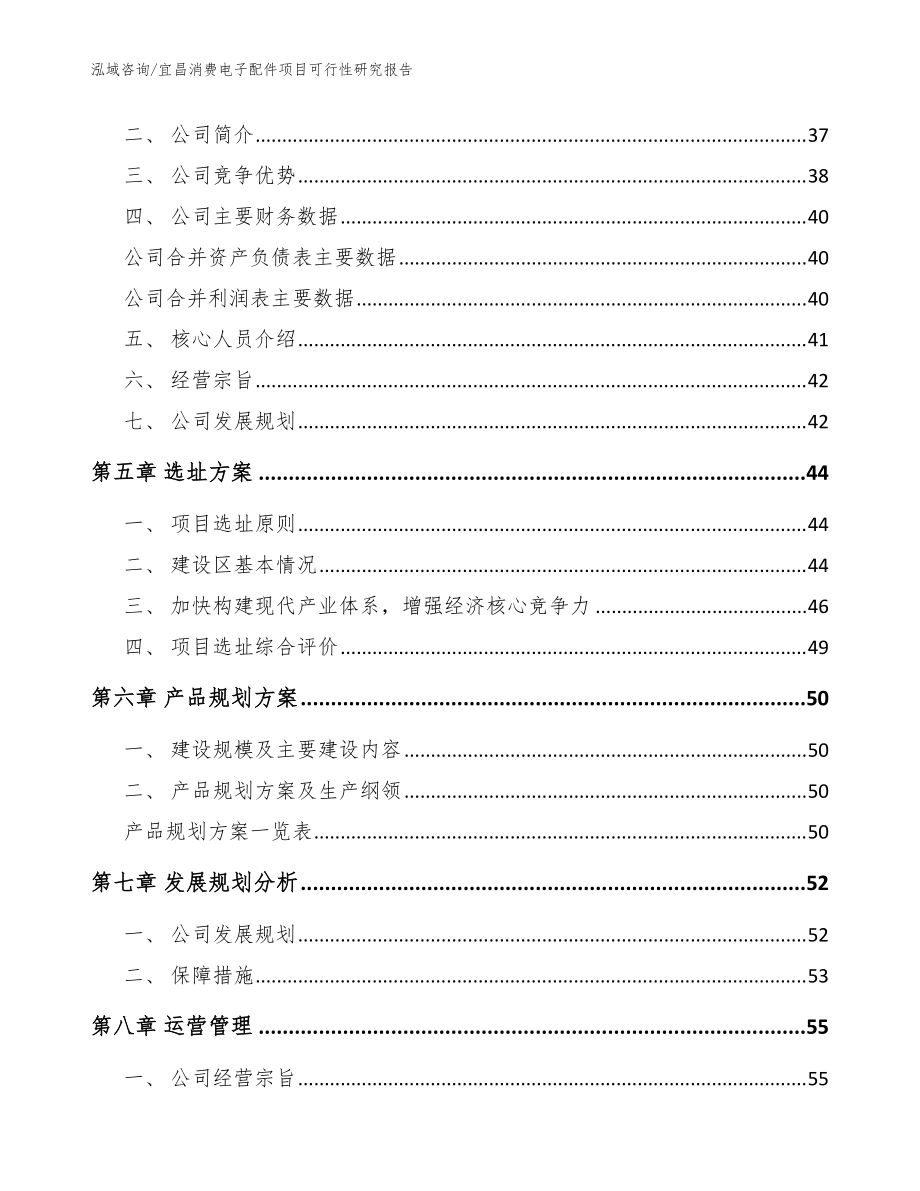 宜昌消费电子配件项目可行性研究报告范文_第3页