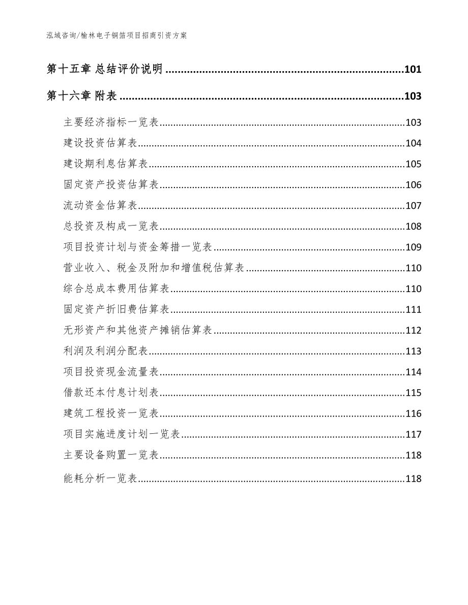 榆林电子铜箔项目招商引资方案【模板】_第5页