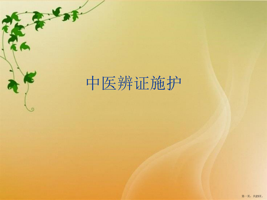 中医辨证施护_第1页
