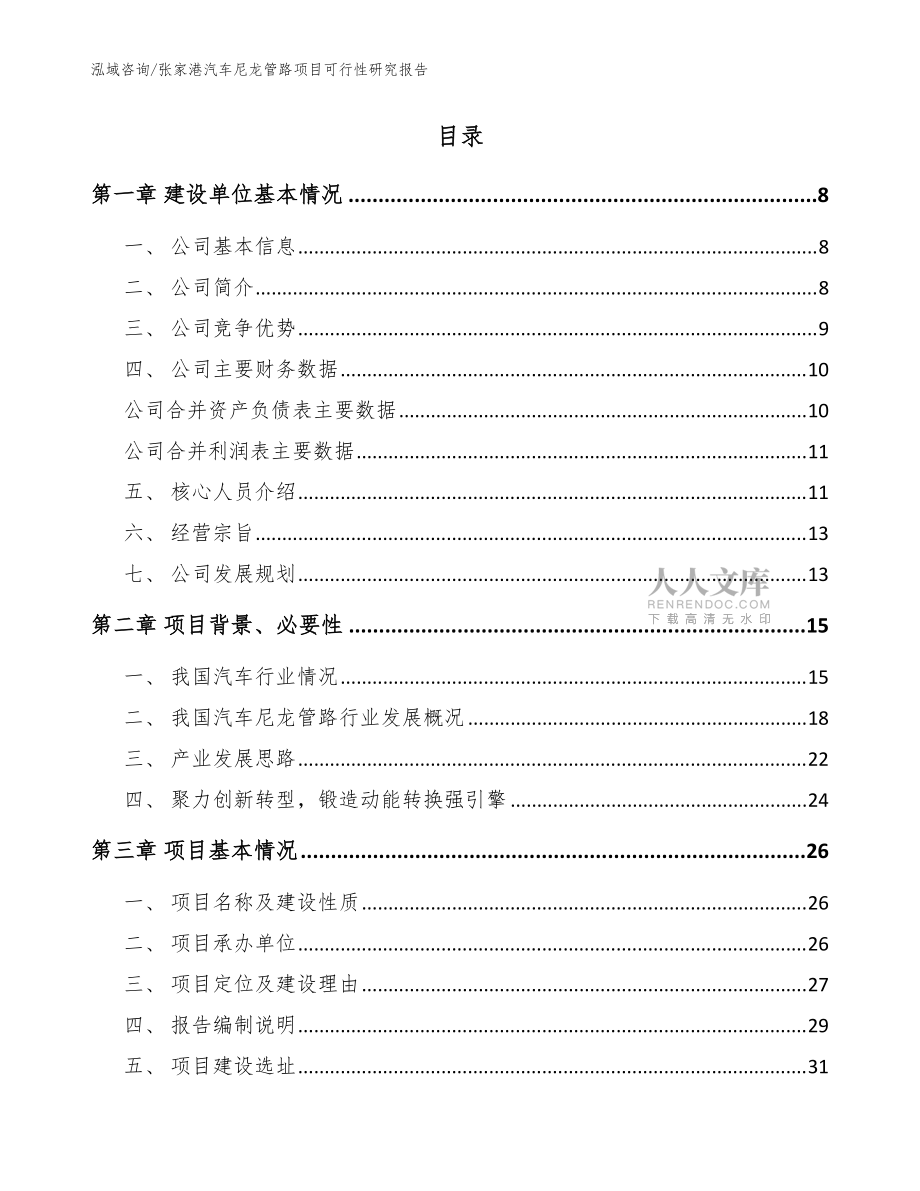 張家港汽車尼龍管路項目可行性研究報告【范文參考】_第2頁