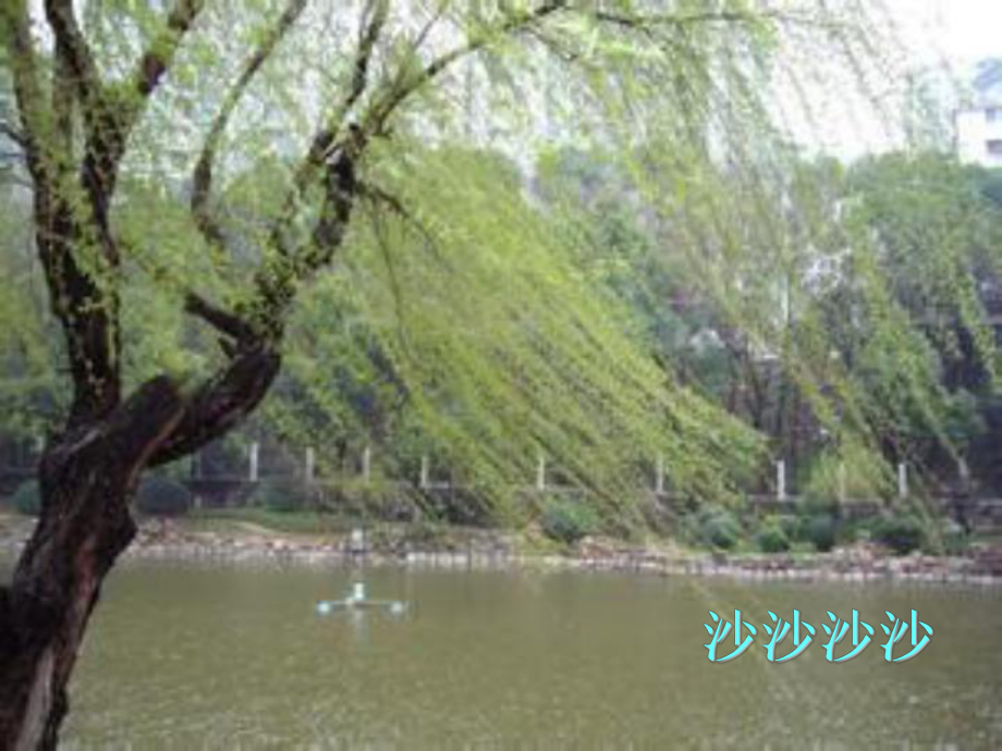 《春天舉行音樂會》課件_第4頁
