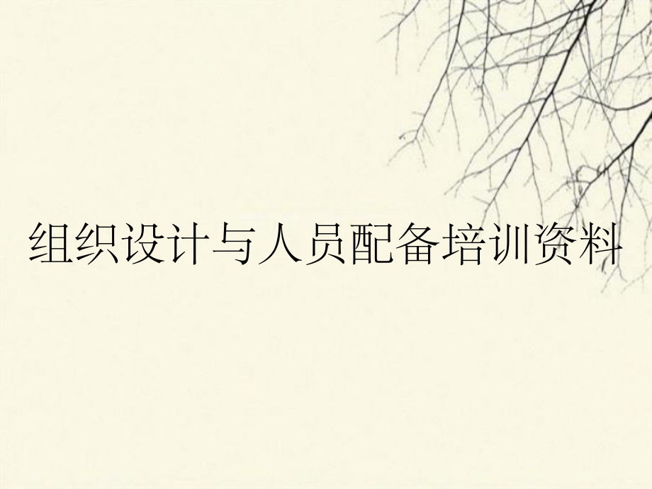 组织设计与人员配备培训资料_第1页