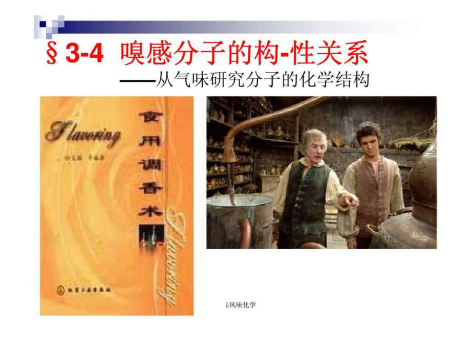 食品風(fēng)味化學(xué)-嗅感及嗅感物質(zhì)(三)_第4頁(yè)