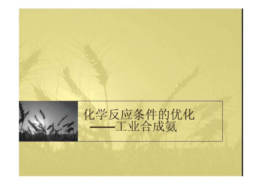 工業(yè)合成氨條件優(yōu)化_第1頁