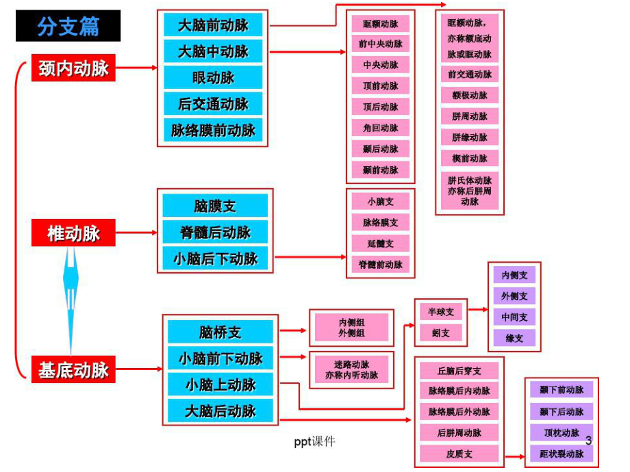 脑动脉解剖图解课件_第3页