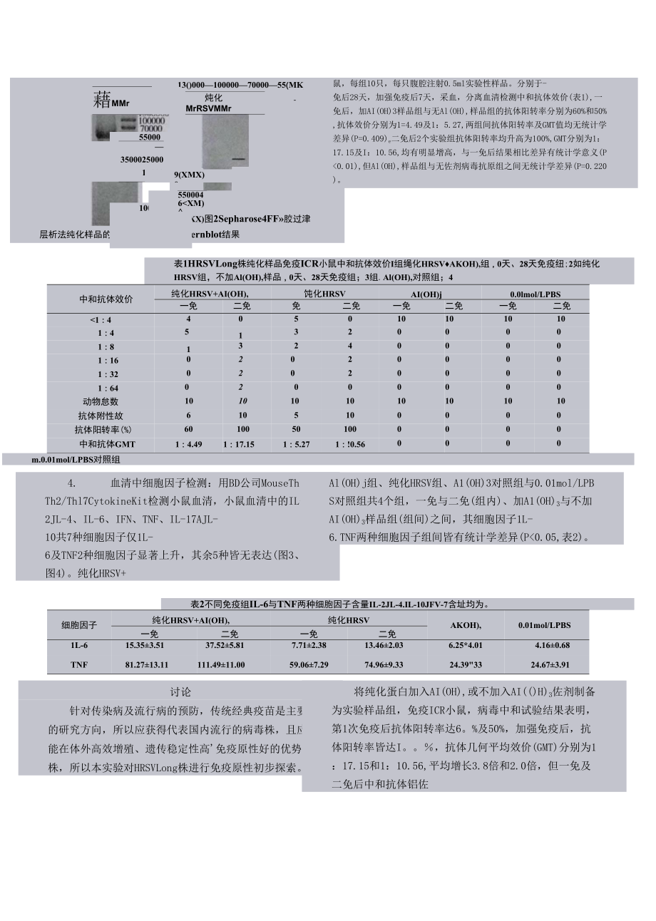 人呼吸道合胞病毒Long株的免疫原性初探.docx_第3頁(yè)