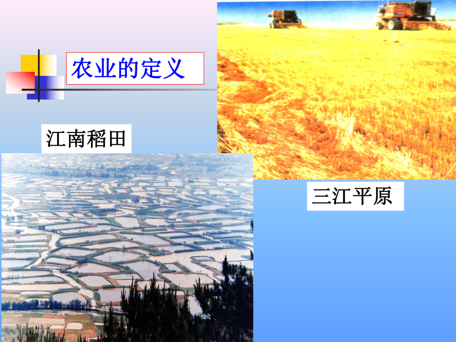 农业地域的形成与发展_第3页