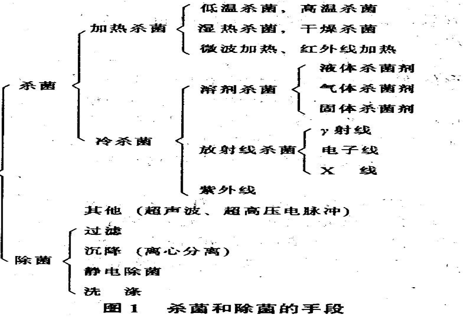 防止食品腐败变质的措施(课堂PPT)_第3页