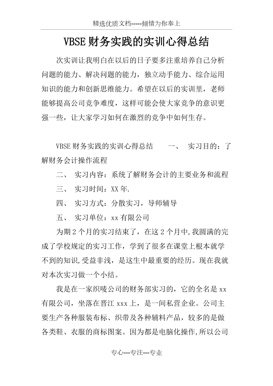 VBSE財(cái)務(wù)實(shí)踐的實(shí)訓(xùn)心得總結(jié)_第1頁