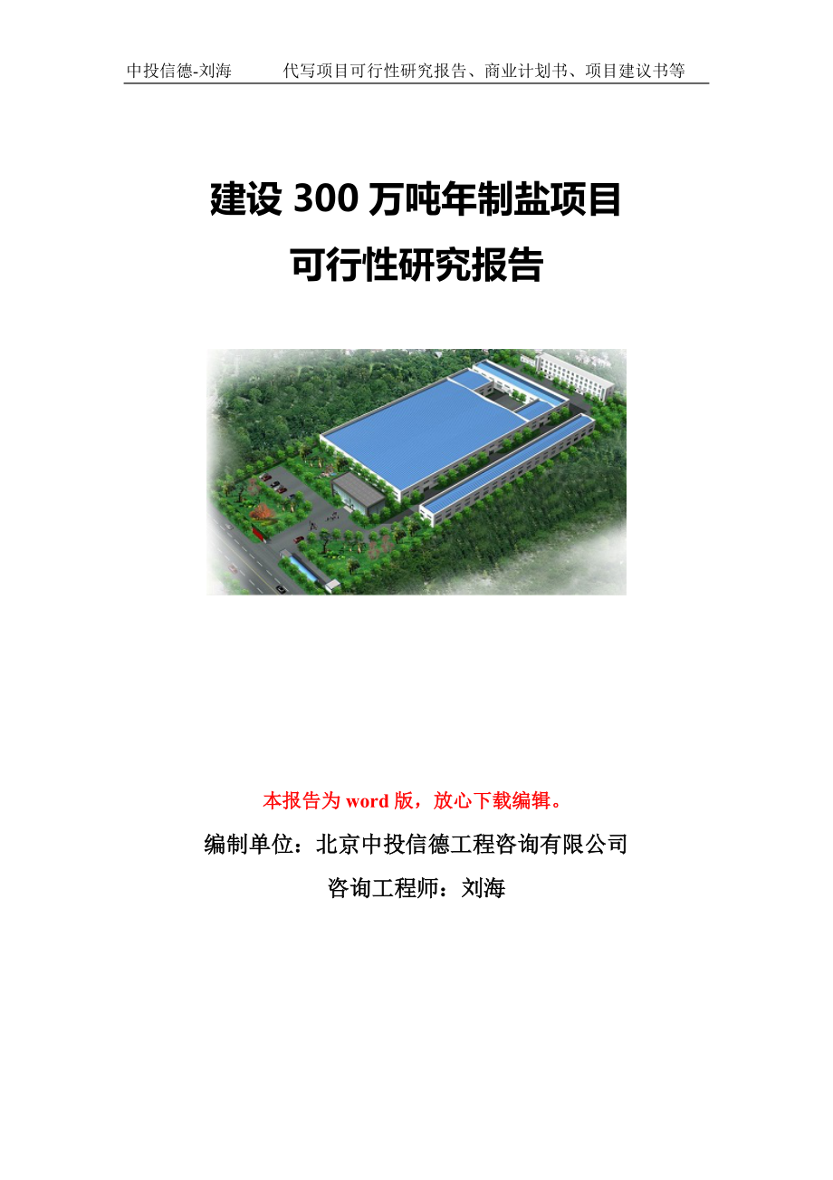 建设300万吨年制盐项目可行性研究报告模板-立项备案_第1页