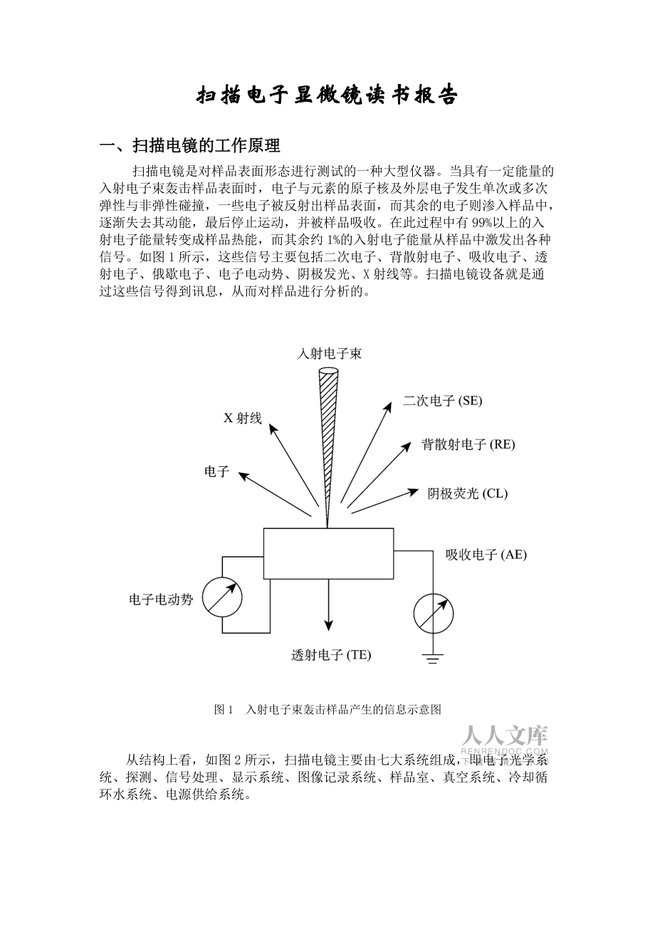 扫描电镜工作原理_第2页