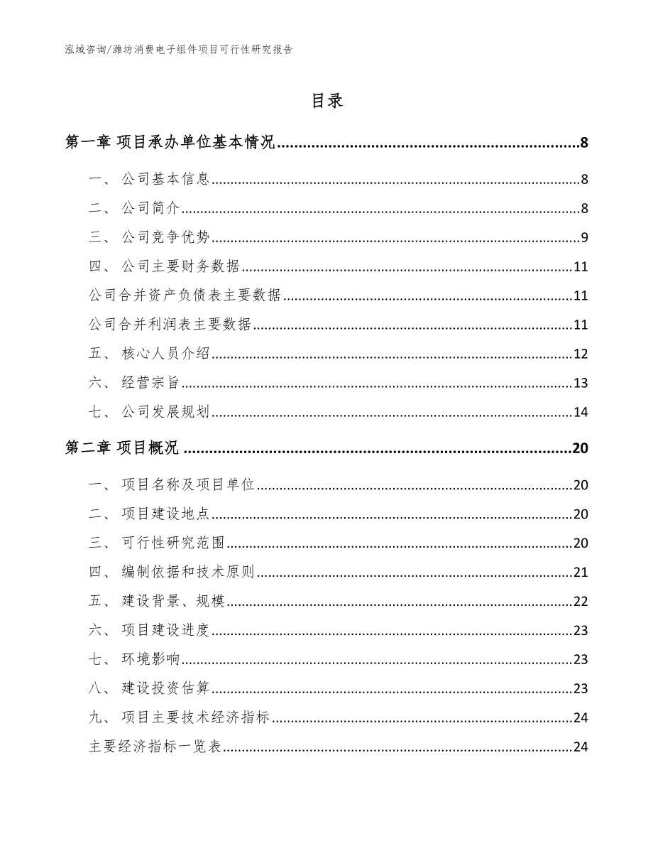 潍坊消费电子组件项目可行性研究报告【范文】_第1页