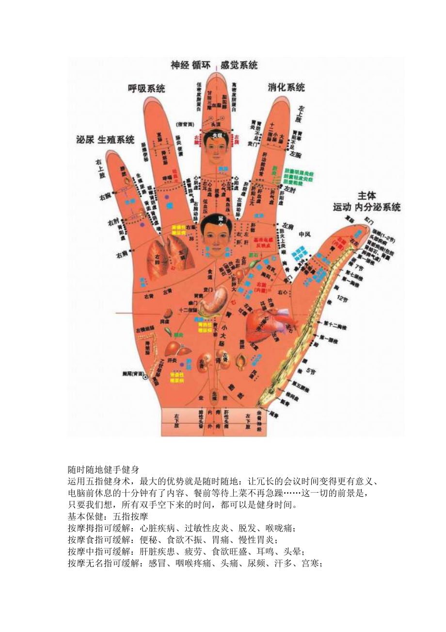 手和内脏对应图_第5页