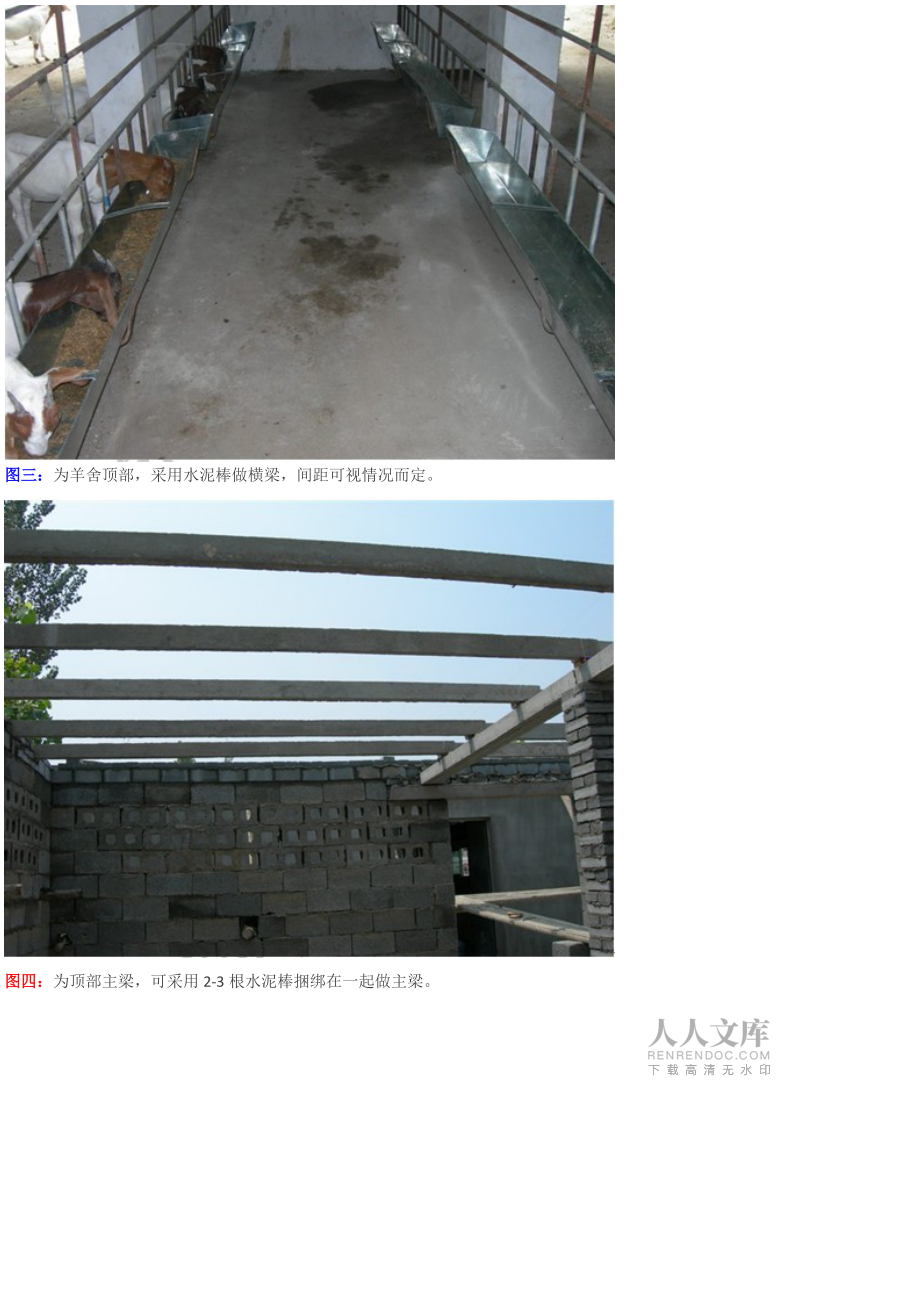 简易羊舍建造_第2页