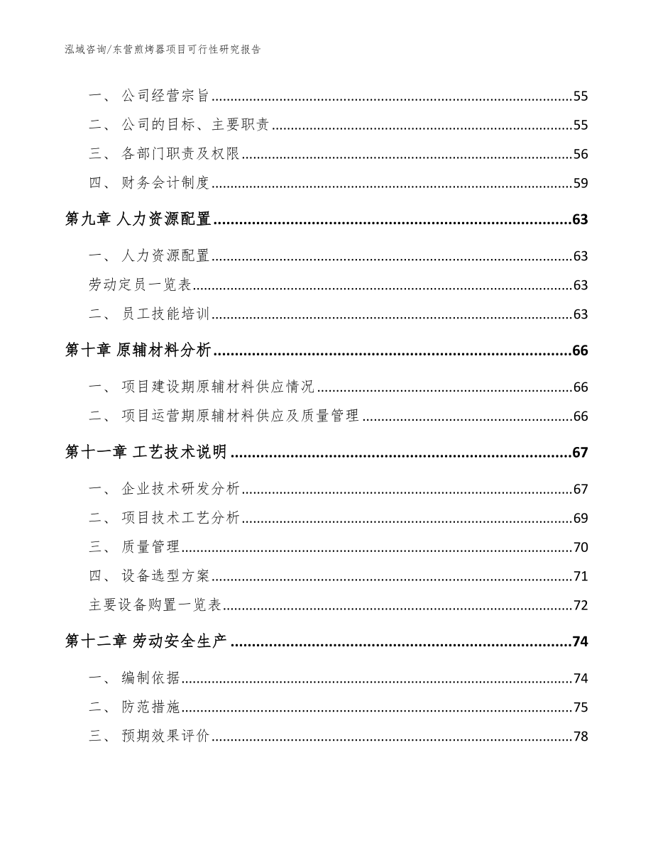 东营煎烤器项目可行性研究报告(参考模板)_第4页