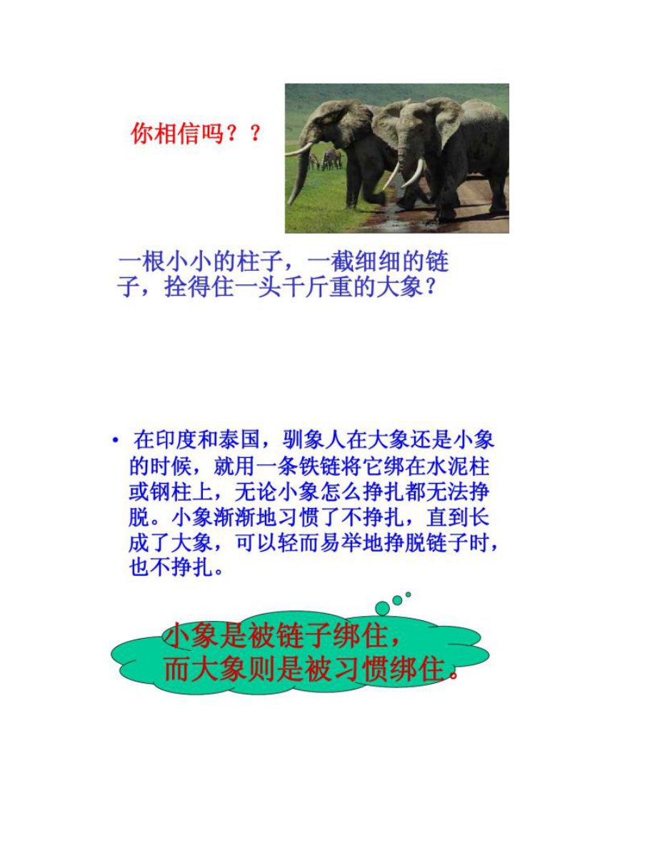 【圖文】做習(xí)慣的主人-主題班會(huì)_第4頁