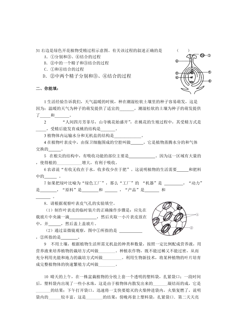 主题四生物圈中的绿色植物_第4页