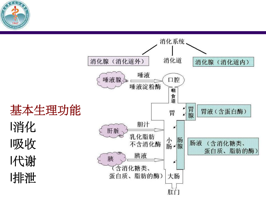 消化系统疾病总论_第5页