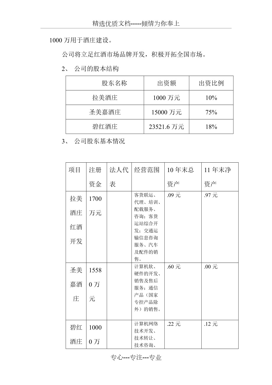 公司商業(yè)融資計劃書模板_第5頁