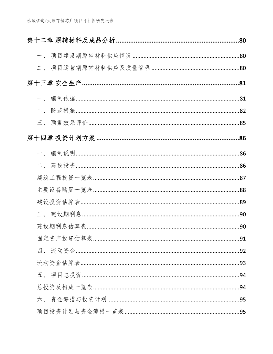 太原存储芯片项目可行性研究报告(模板参考)_第5页