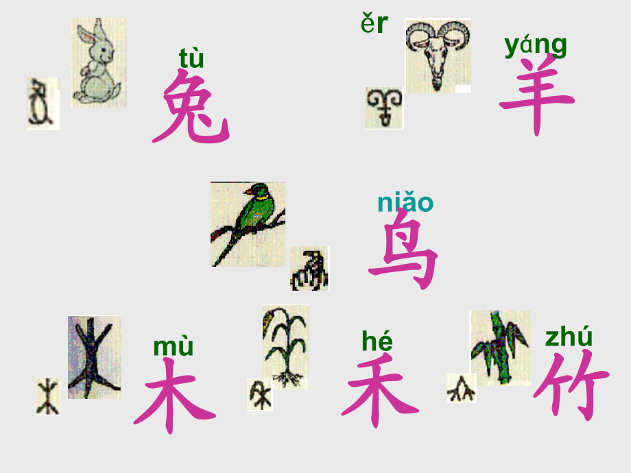 《口耳目》课件6_第3页