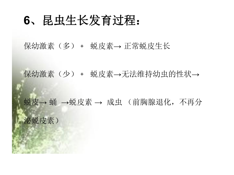 第四节动物生命活动调节_第5页