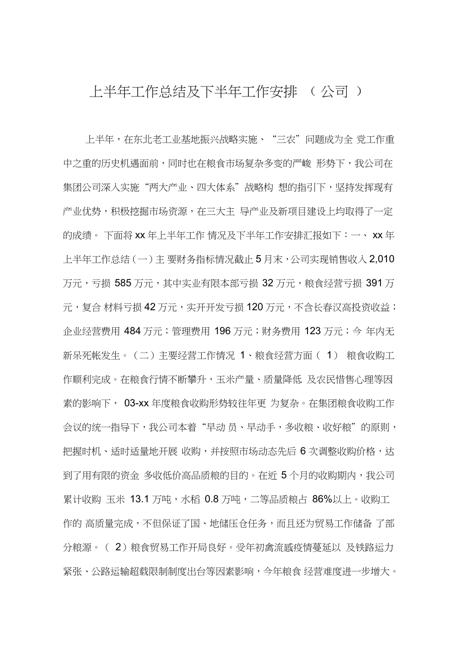 上半年工作总结及下半年工作安排(公司)_第1页