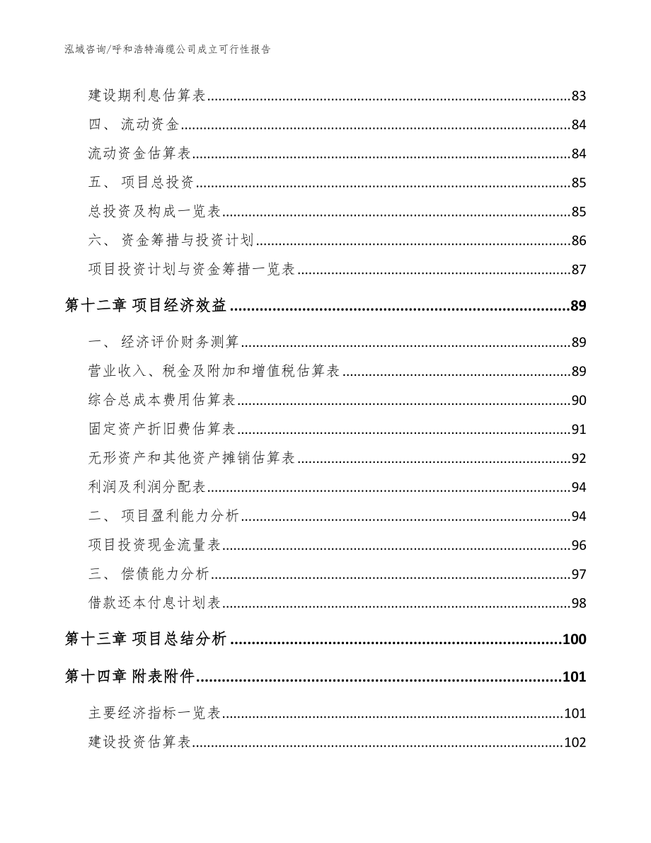 呼和浩特海缆公司成立可行性报告【模板范本】_第5页