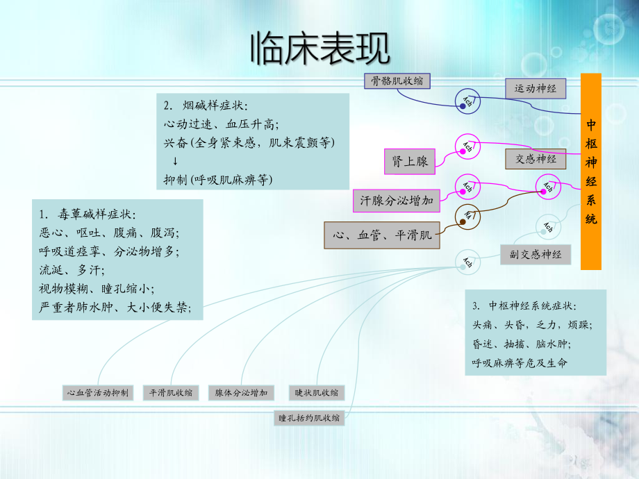 急性有机磷农药中毒_第5页