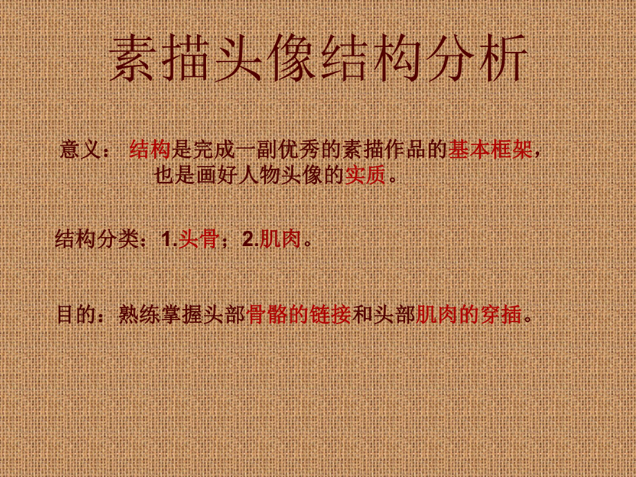 素描头像结构分析_第1页