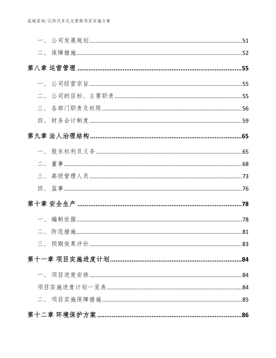 辽阳汽车尼龙管路项目实施方案(模板范本)_第3页