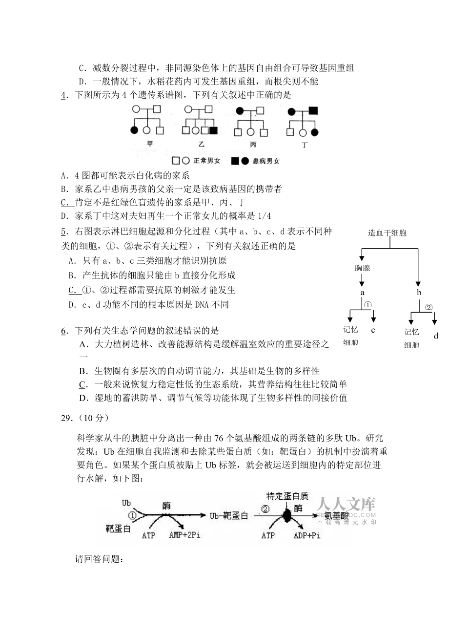 石嘴山市高三年级联考试卷_第2页