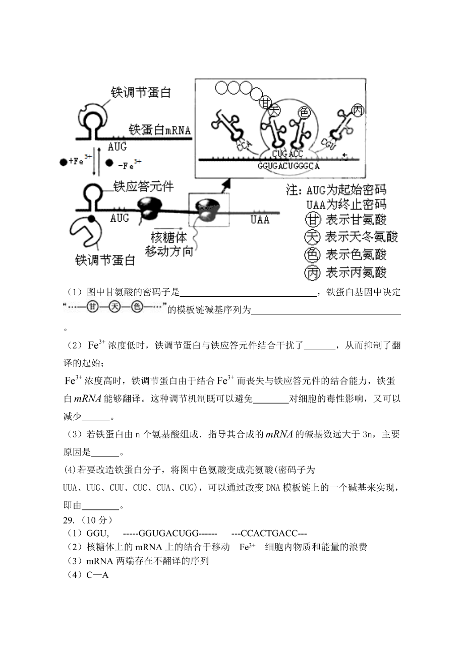石嘴山市高三年级联考试卷_第4页