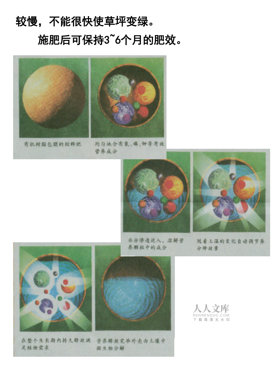 草坪植物营养和施肥_第2页