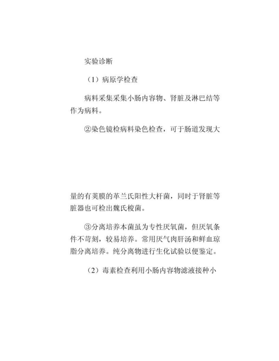 羊的主要傳染病 - 羊腸毒血癥-_第4頁