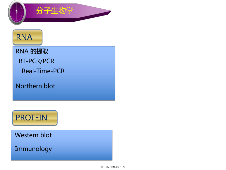 肿瘤研究中常用的方法与问题_第3页