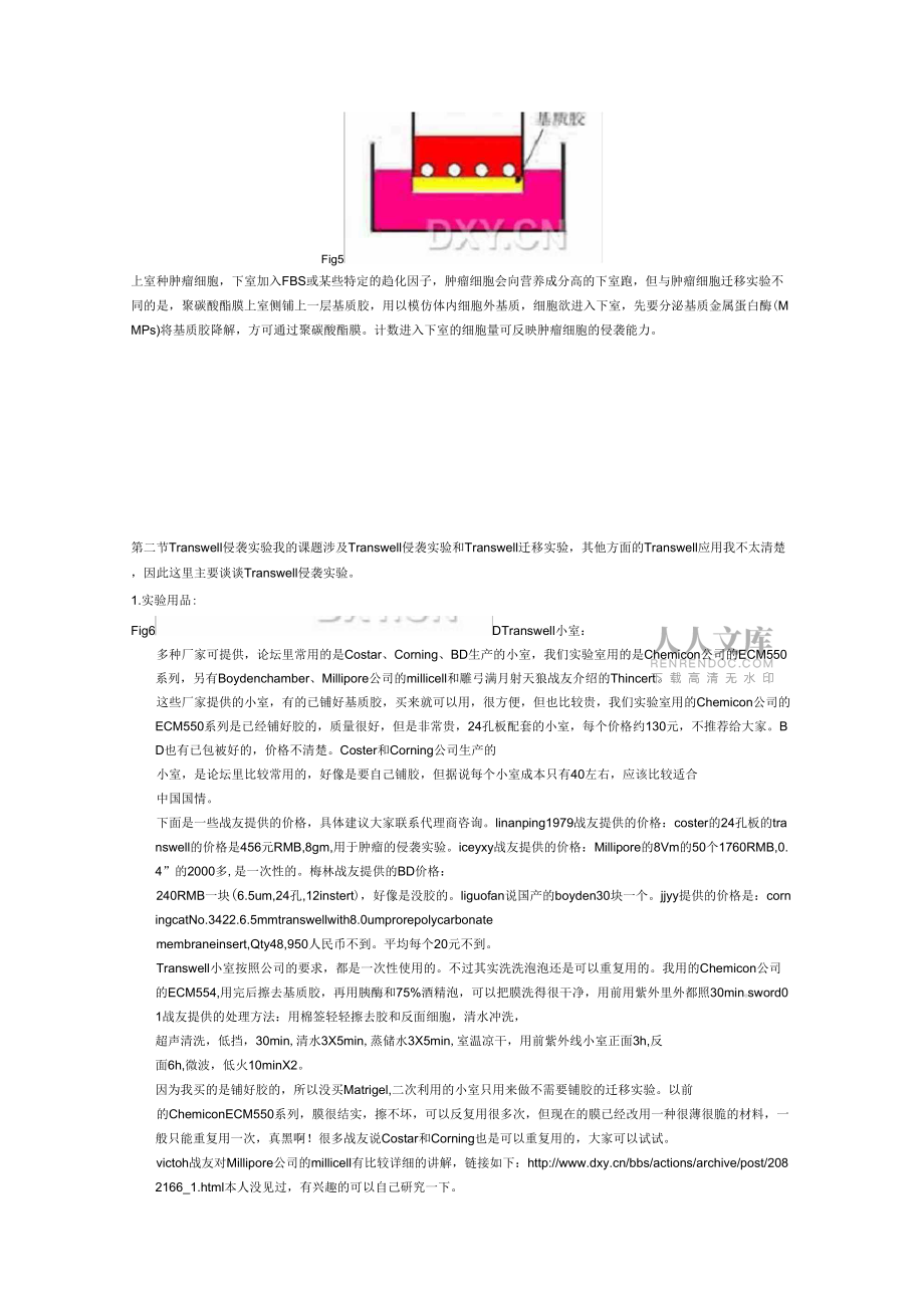 transwell试验整理版_第2页