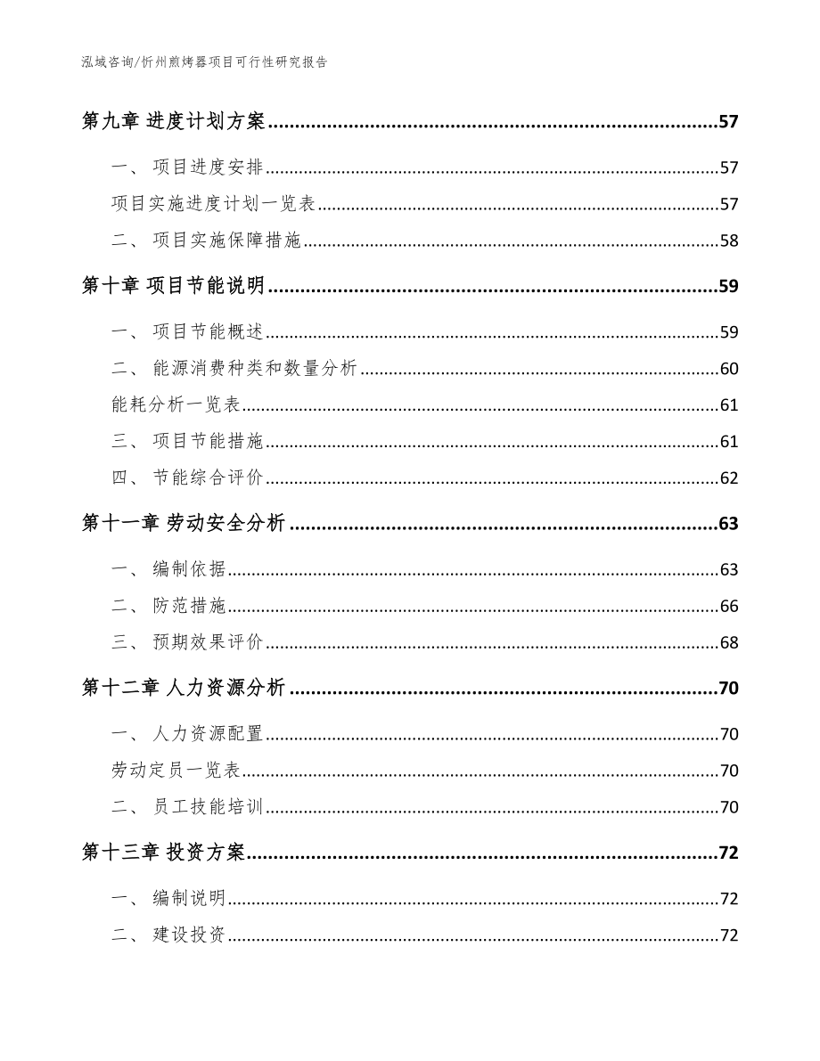 忻州煎烤器项目可行性研究报告_参考模板_第3页