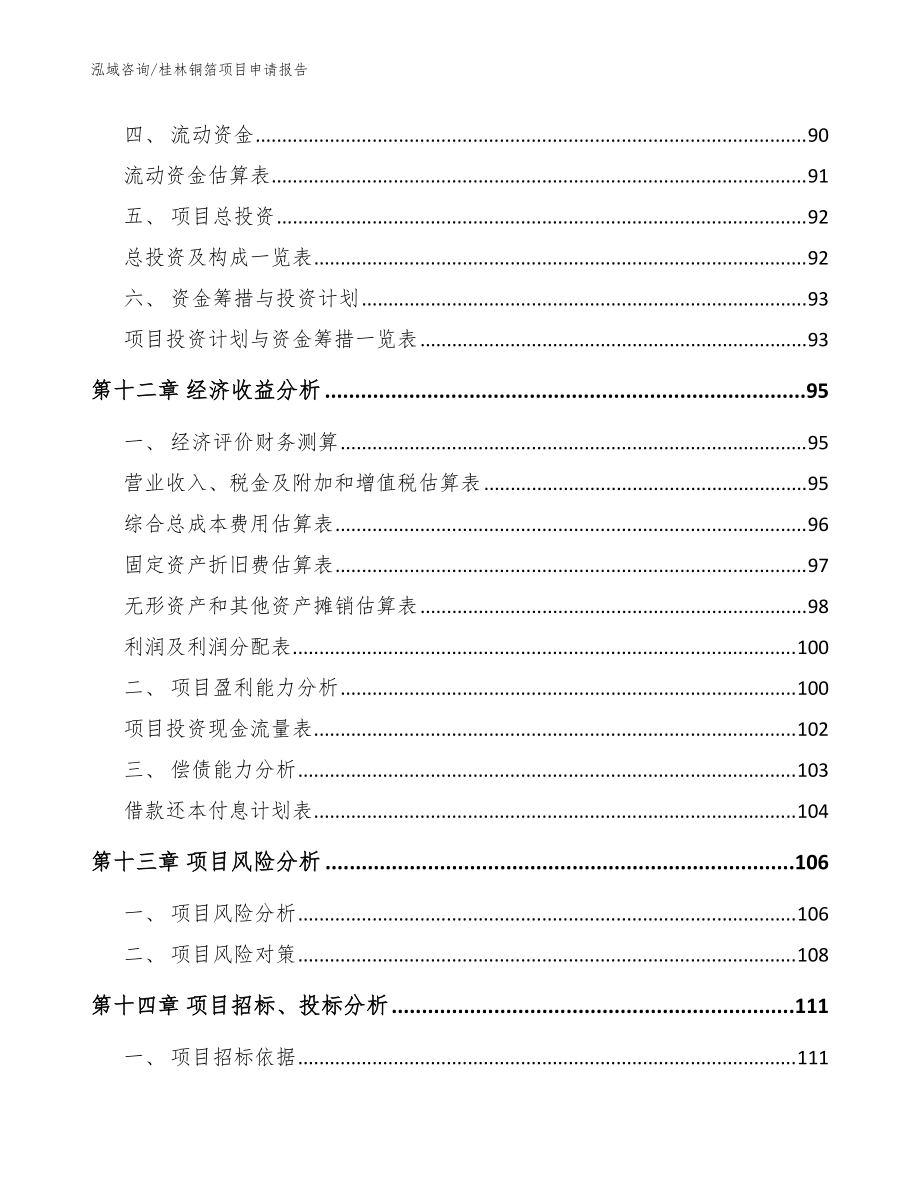 桂林铜箔项目申请报告参考模板_第5页
