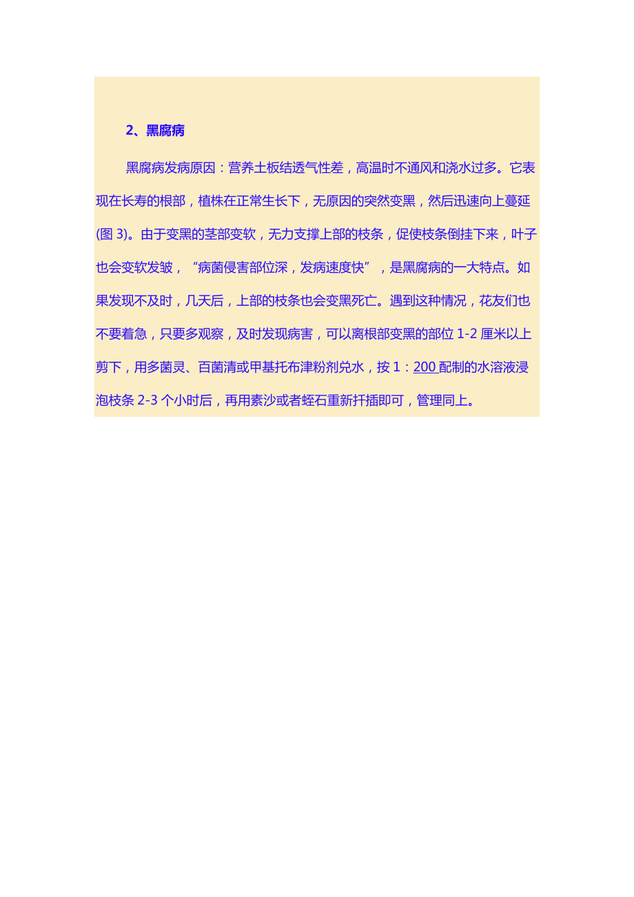 長壽花常見病蟲害的防治_第4頁