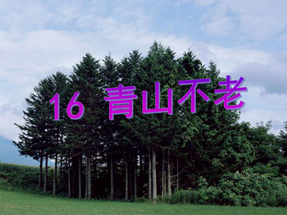 16青山不老课件_第4页