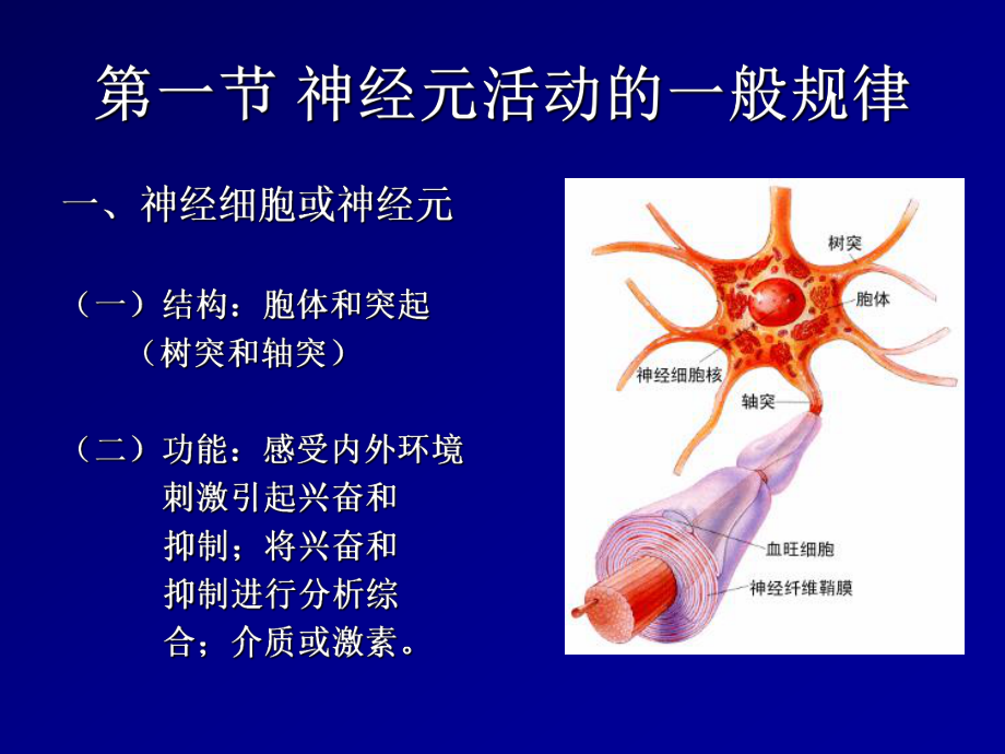 生理学考研复习资料神经系统_第2页